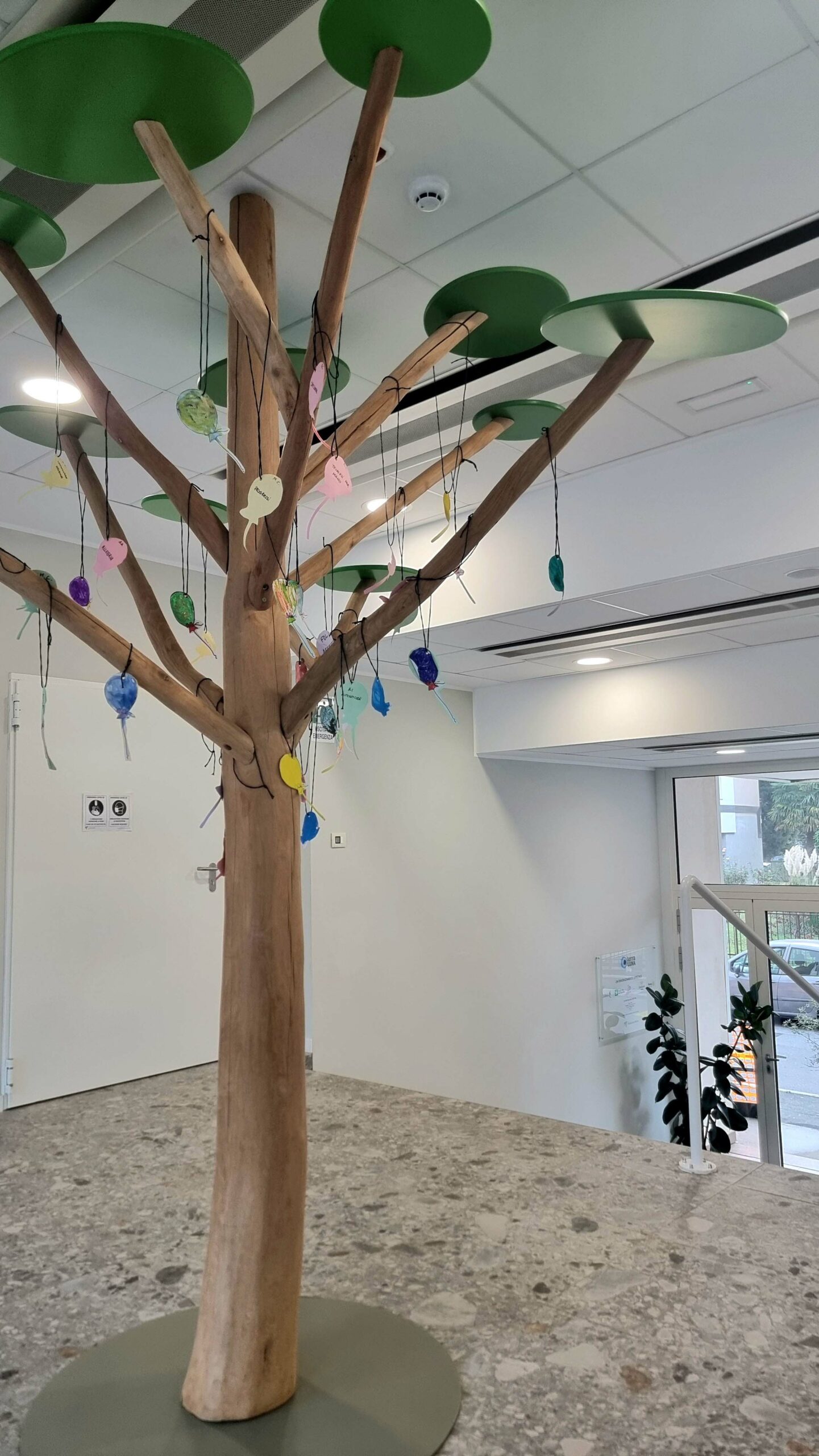 TerraLuna ingresso albero